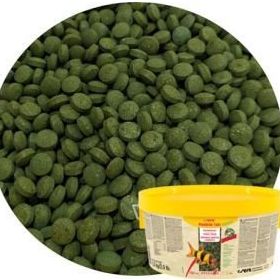 Sera Plankton Tabs Nature 250 Adet Kovadan Bölme Balık Yemi