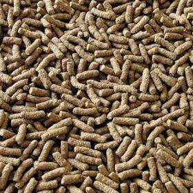 Sera Pond Granulat 50 gr Açık Balık Yemi