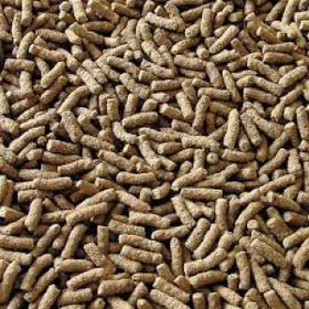 Sera Pond Granulat 50 gr Açık Balık Yemi