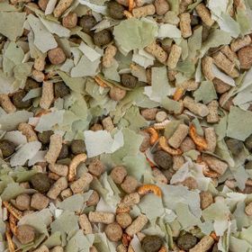 Sera Pond Mix Royal 50 gr Poşette Havuz ve Japon Balığı Yemi
