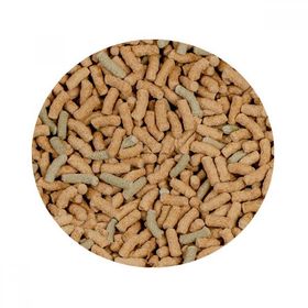 Sera Raffy P Sticks Kovadan Bölme 100 gr Balık Yemi