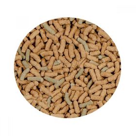 Sera Raffy P Sticks Kovadan Bölme 250 gr Balık Yemi