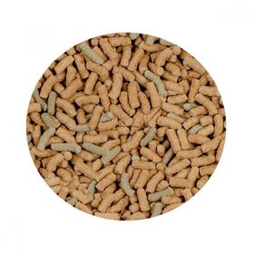 Sera Raffy P Sticks Kovadan Bölme 250 gr Balık Yemi