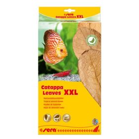Sera XXL 32 cm 10'lu Paket Catappa Yaprağı