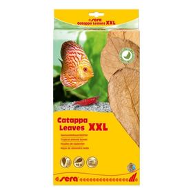 Sera XXL 32 cm 10'lu Paket Catappa Yaprağı