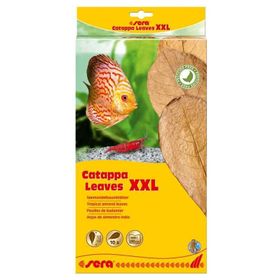 Sera XXL 32 cm 10'lu Paket Catappa Yaprağı