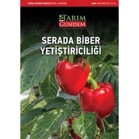 Serada Biber Yetiştiriciliği - Komisyon