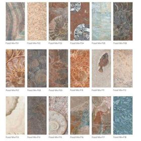 Serapool Fossil Mix 33x66 Porselen Renkli Havuz Seramiği