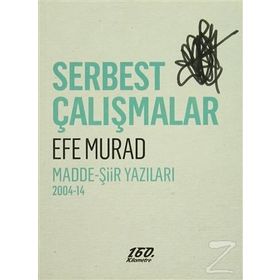 Serbest Çalışmalar - Efe Murad