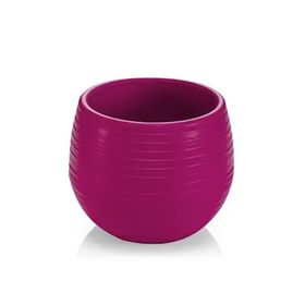 Serinova 0.55 lt Vişne Elvan Saksı