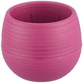 Serinova ES03 Vişne 9.6 cm 550 ml Elvan Kaktüs Sukulent Tabaklı Saksı