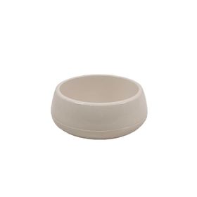 Serinova Kaktüs Arajman No: 3 4.8 lt Saksı
