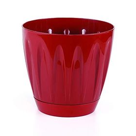 Serinova P001 11.5 cm 0.7 lt Kırmızı Tabaklı Papatya Saksı