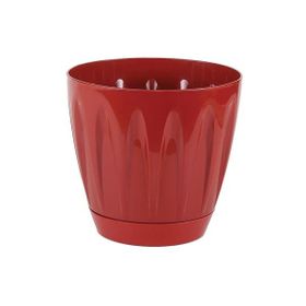 Serinova P001 11.5 cm 0.7 lt Kırmızı Tabaklı Papatya Saksı