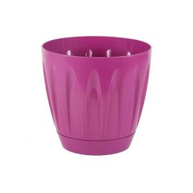 Serinova P001 11.5 cm 0.7 lt Kırmızı Tabaklı Papatya Saksı