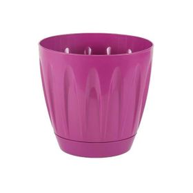 Serinova Papatya Tabaklı 3 lt Saksı