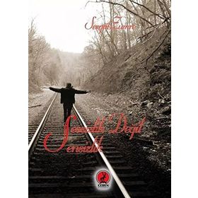 Sessizlik Değil Sensizlik - Sevgül Zümre
