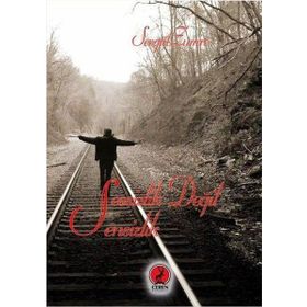 Sessizlik Değil Sensizlik - Sevgül Zümre