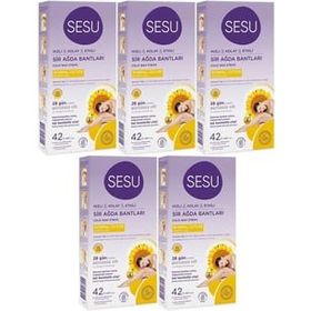Sesu Normal Ciltler 5x42 Adet Sir Ağda Bandı