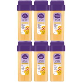 Sesu Normal Ciltler 6x100 ml Roll-On Sir Ağda