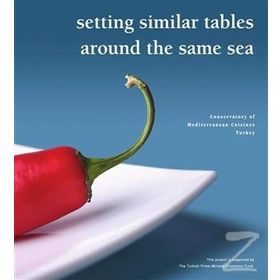 SETTING SIMILAR TABLES AROUND THE SAME SEA - GÜZİN YALIN
