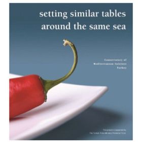 SETTING SIMILAR TABLES AROUND THE SAME SEA - GÜZİN YALIN