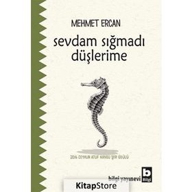 Sevdam Sığmadı Düşlerime - Mehmet Ercan