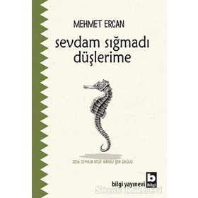 Sevdam Sığmadı Düşlerime - Mehmet Ercan