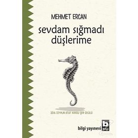 Sevdam Sığmadı Düşlerime - Mehmet Ercan