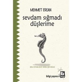 Sevdam Sığmadı Düşlerime - Mehmet Ercan