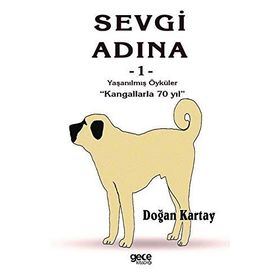Sevgi Adına Öyküler 1 - Doğan Kartay