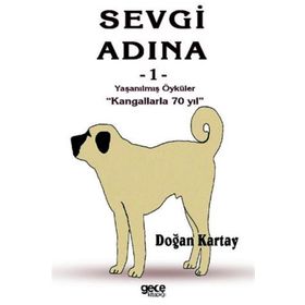 Sevgi Adına Öyküler 1 - Doğan Kartay