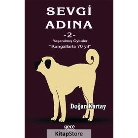 Sevgi Adına Öyküler 2 - Doğan Kartay