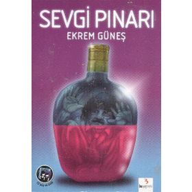 Sevgi Pınarı - Ekrem Güneş