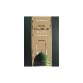 SEVGI PINARINDAN HIKMET DAMLALARI HASAN HOCA DİVANI - HASAN ARSLAN