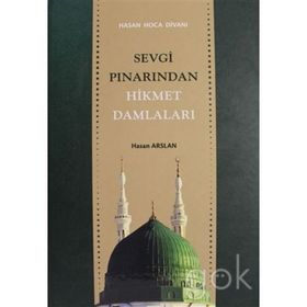 SEVGI PINARINDAN HIKMET DAMLALARI HASAN HOCA DİVANI - HASAN ARSLAN