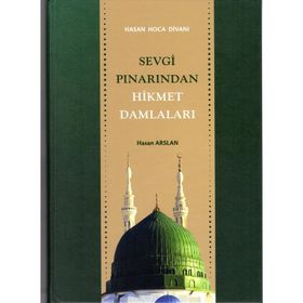SEVGI PINARINDAN HIKMET DAMLALARI HASAN HOCA DİVANI - HASAN ARSLAN