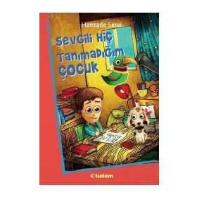 Sevgili Hiç Tanımadığım Çocuk - Hanzade Servi