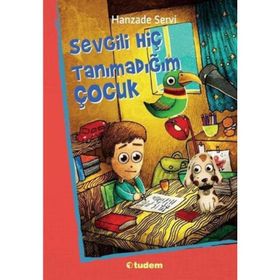 Sevgili Hiç Tanımadığım Çocuk - Hanzade Servi
