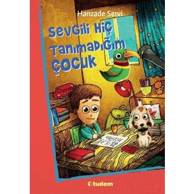 Sevgili Hiç Tanımadığım Çocuk - Hanzade Servi