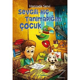 Sevgili Hiç Tanımadığım Çocuk - Hanzade Servi