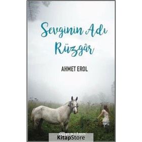 Sevginin Adı Rüzgar - Ahmet Erol