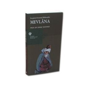 Sevginin Evrensel Mühendisi Mevlana - Emine Yeniterzi