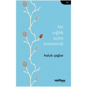 Sevimli Canavar Abi Oluyor - Canavar Kardeşler 1 - Merve Gülcemal