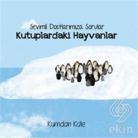 Sevimli Dostlarımıza Sorular Kutuptaki Hayvanlar - Işıl Erverdi