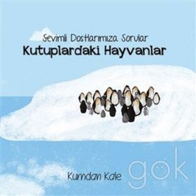 Sevimli Dostlarımıza Sorular Kutuptaki Hayvanlar - Işıl Erverdi
