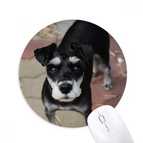 Sevimli Köpek Yuvarlak Mouse Pad