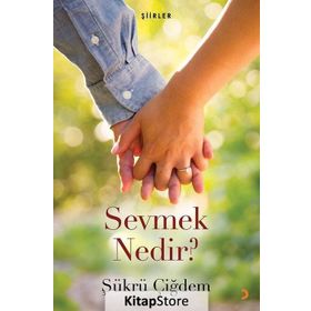 Sevmek Nedir? - Şükrü Çiğdem
