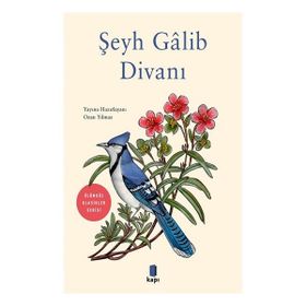 Şeyh Galib Divanı - Ölümsüz Klasikler - Ozan Yılmaz