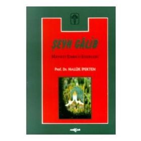 Şeyh Galib Hayatı, Sanatı, Eserleri, Edebi Kişiliği ve Bazı Şiirlerinin Açıklamaları - Haluk İpekten